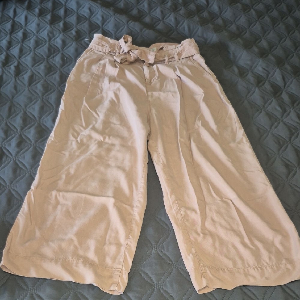 ZARA Rose BeigeWide-Leg Cropped Pants SIZE 4